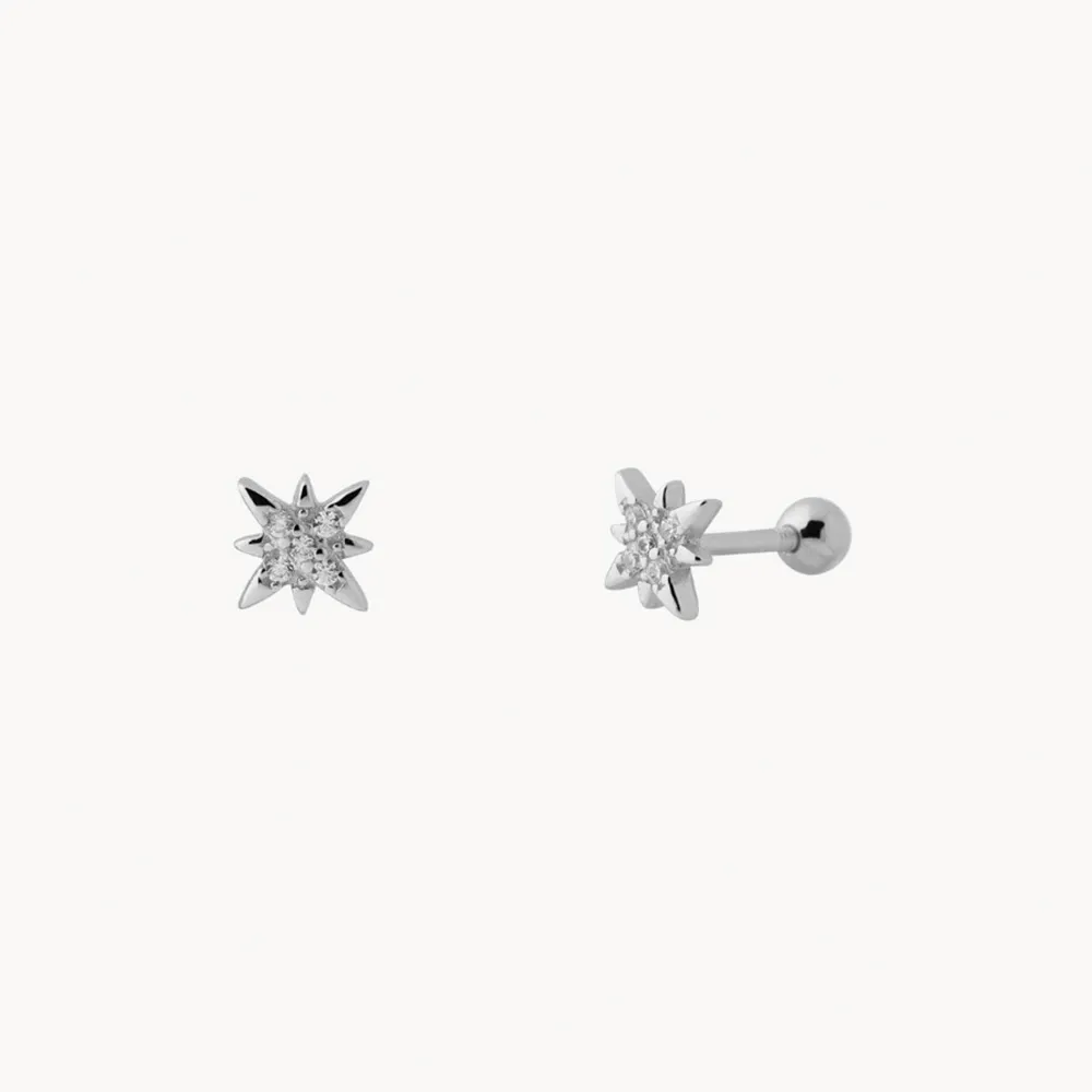 PIERCING SHINY POLAR