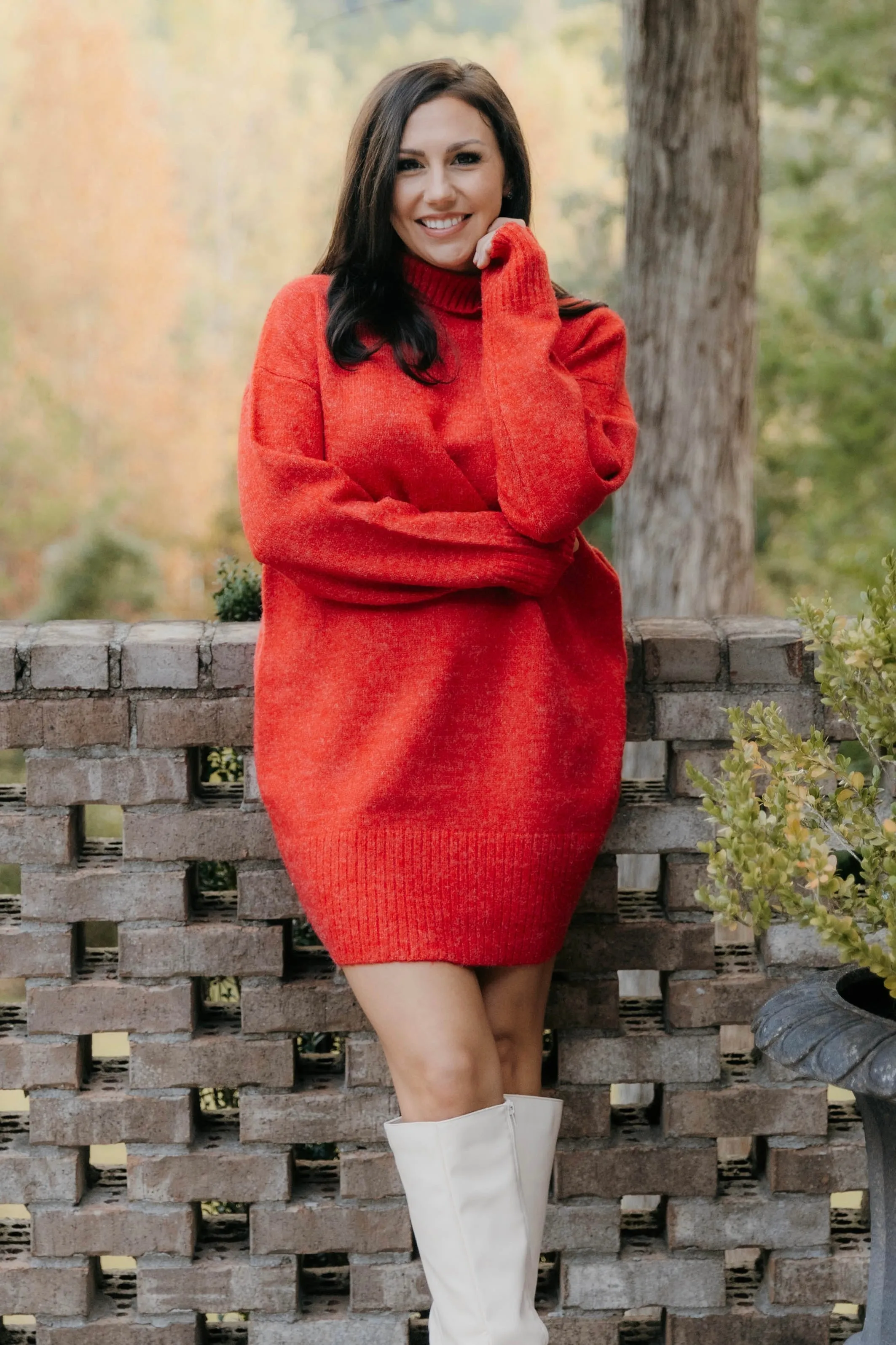 Sara High Neck Sweater Mini Dress