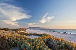 Table Mountain