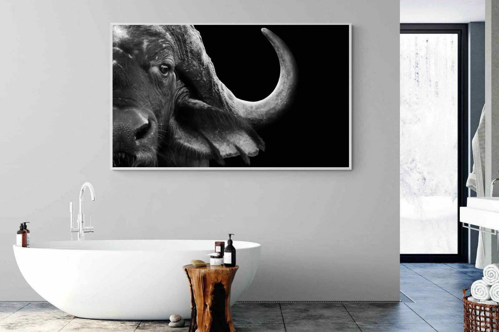 Water Buffalo