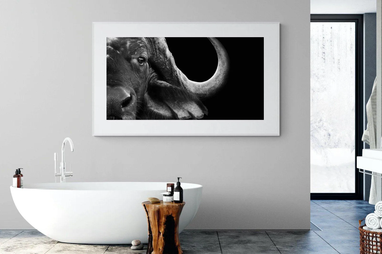 Water Buffalo
