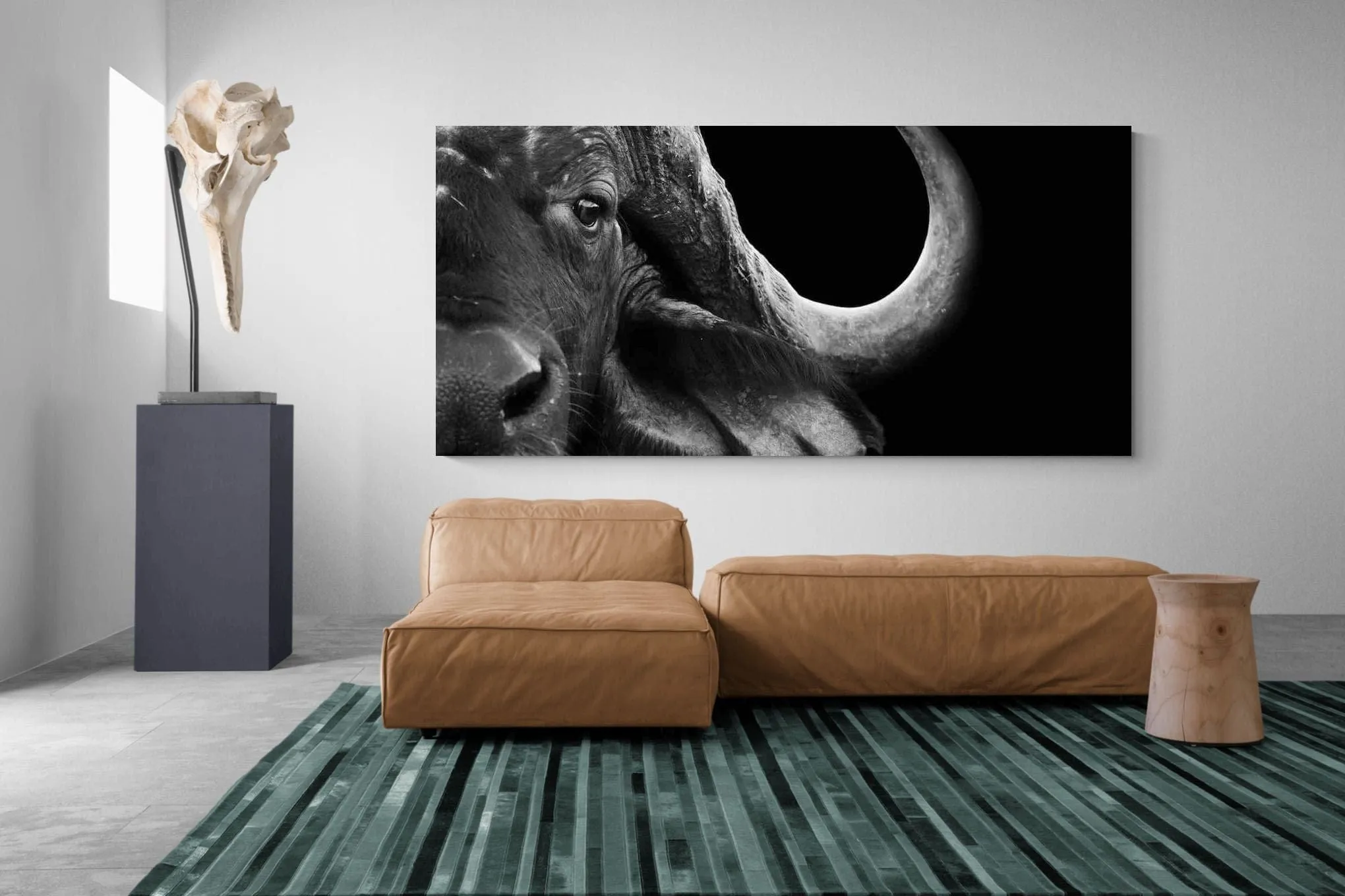 Water Buffalo