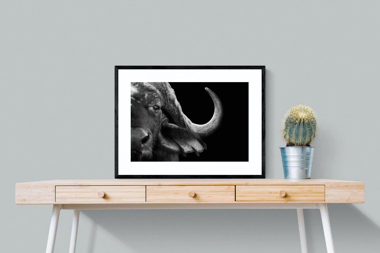 Water Buffalo