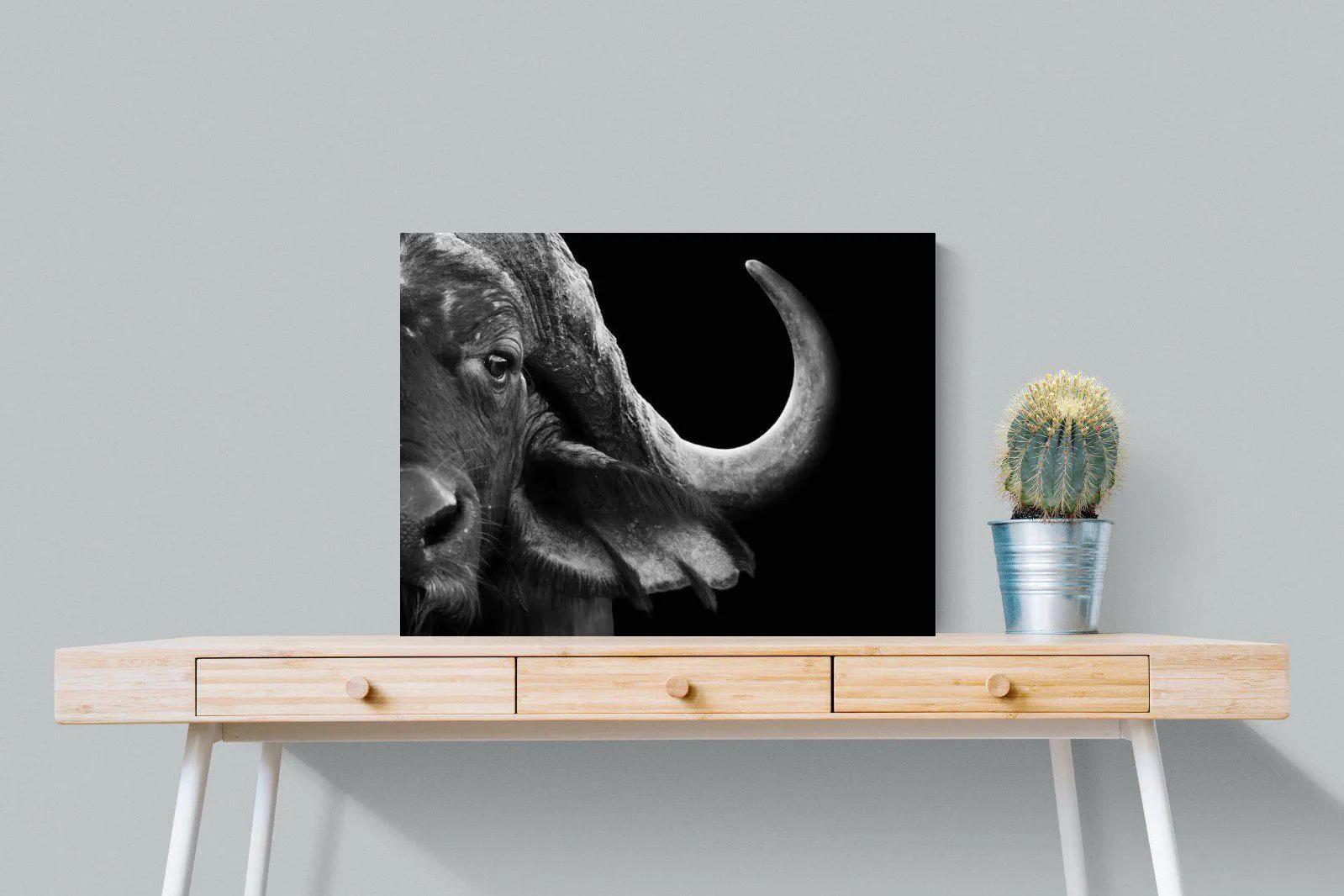 Water Buffalo