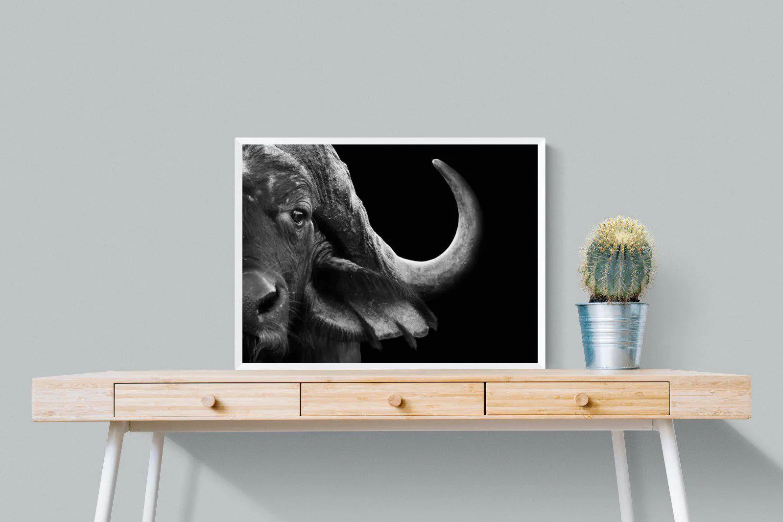 Water Buffalo