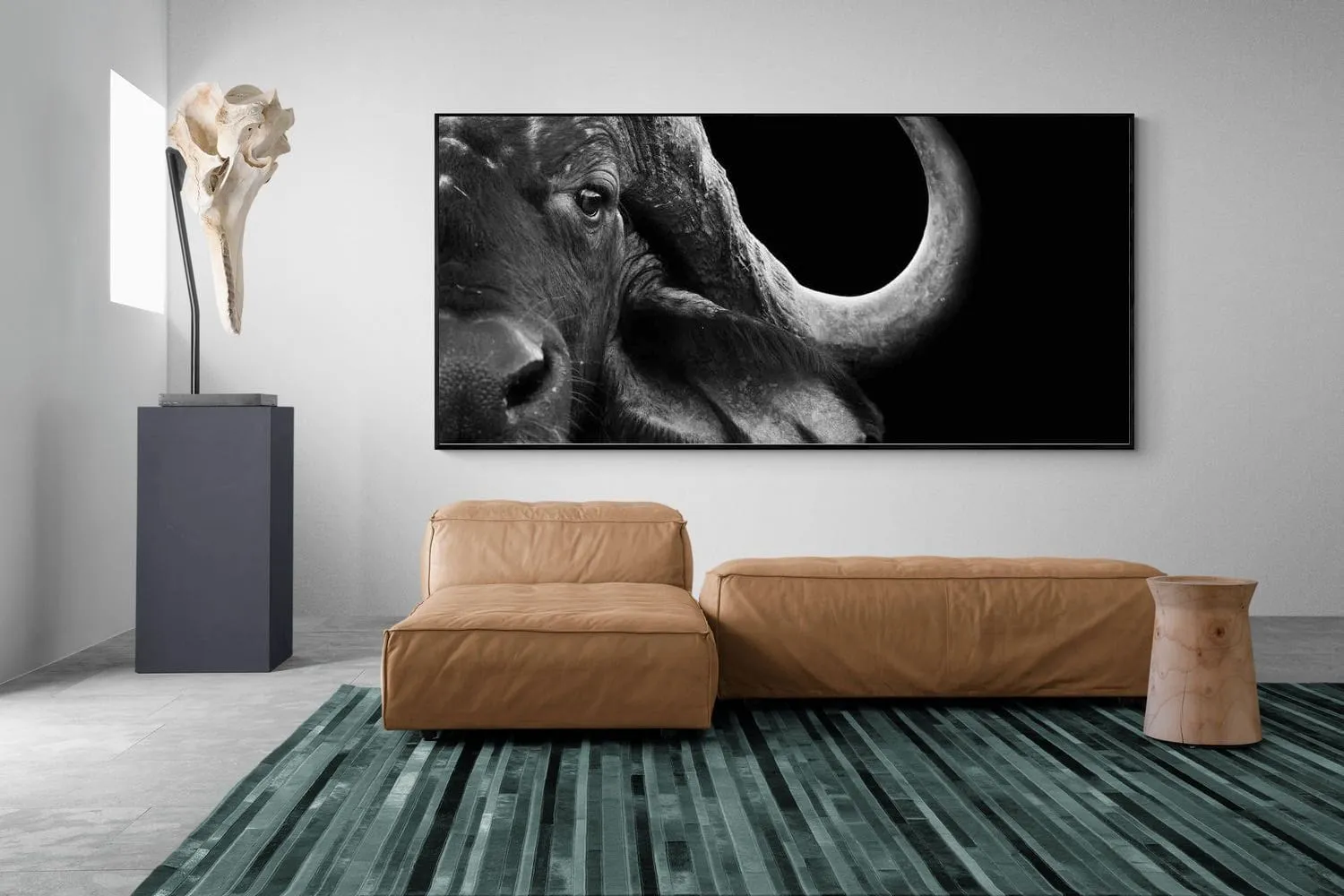 Water Buffalo
