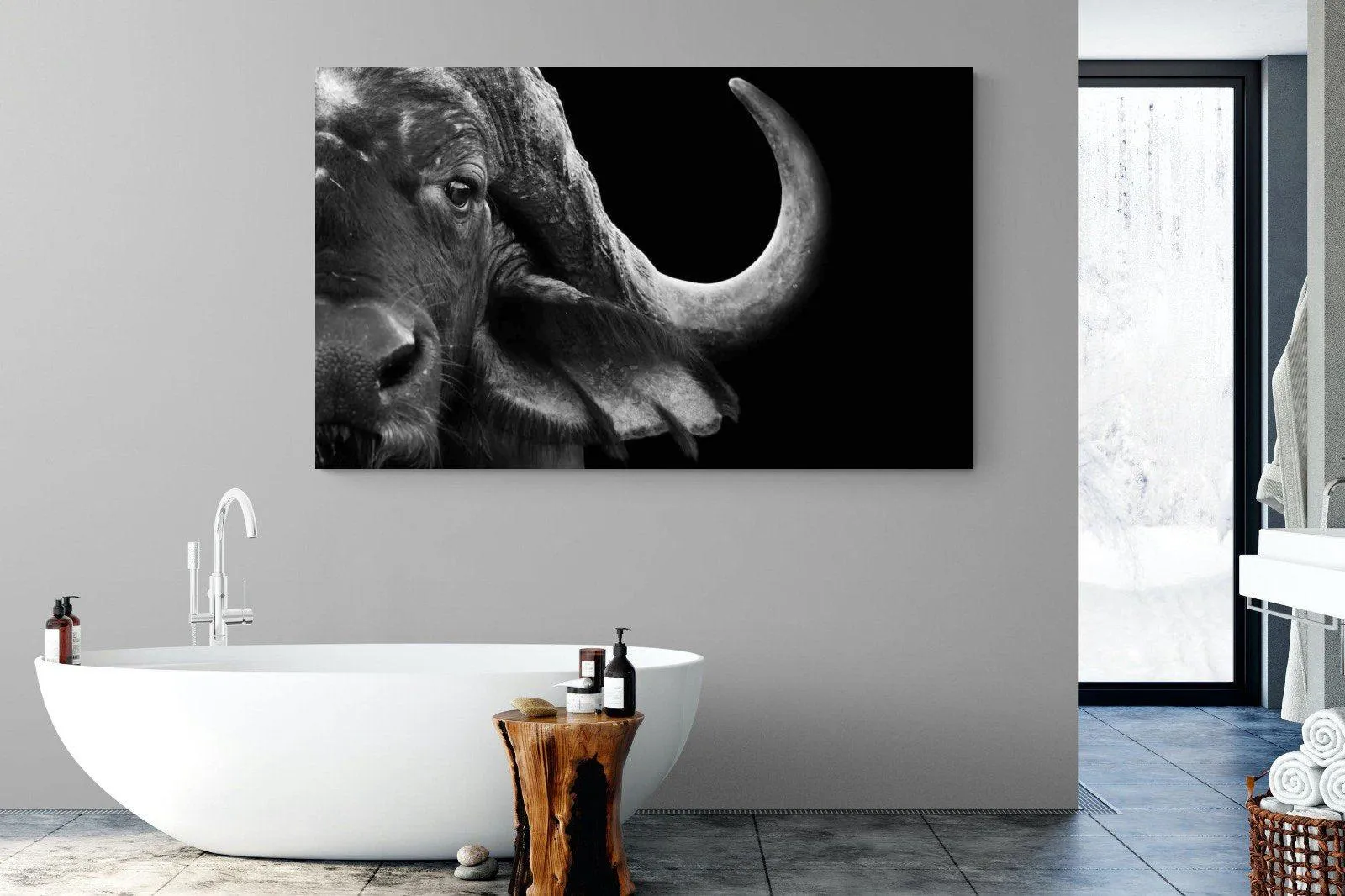 Water Buffalo