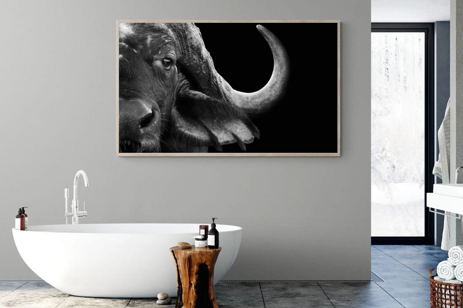 Water Buffalo