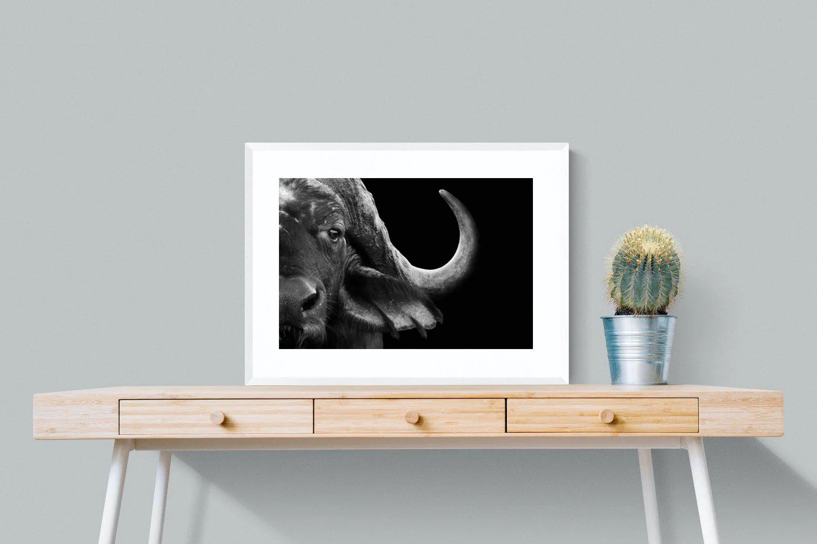 Water Buffalo