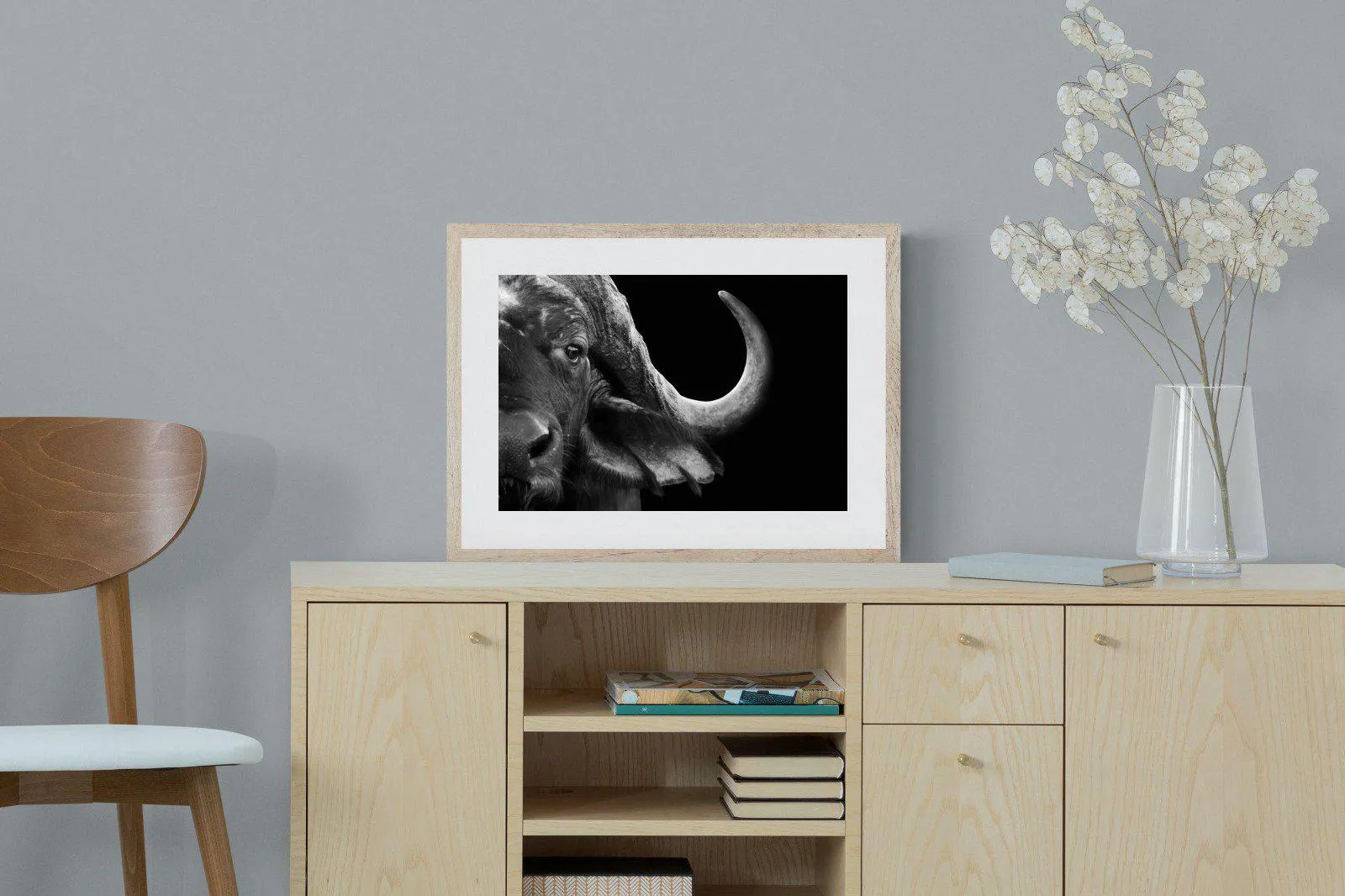 Water Buffalo