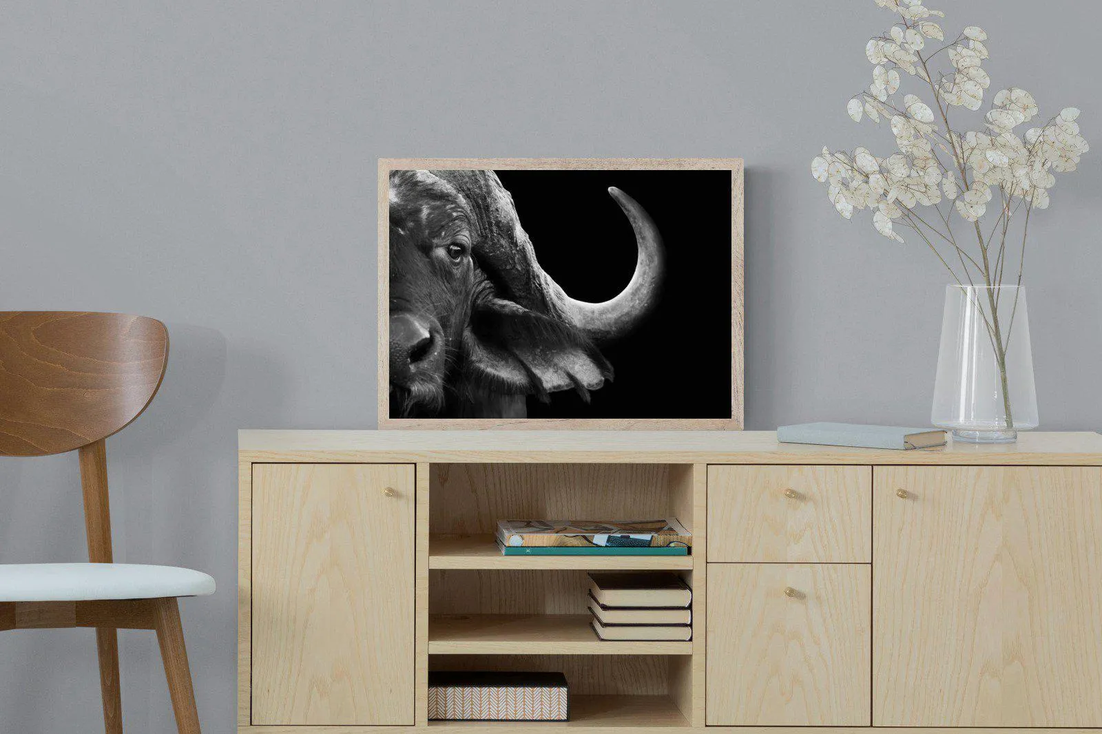 Water Buffalo