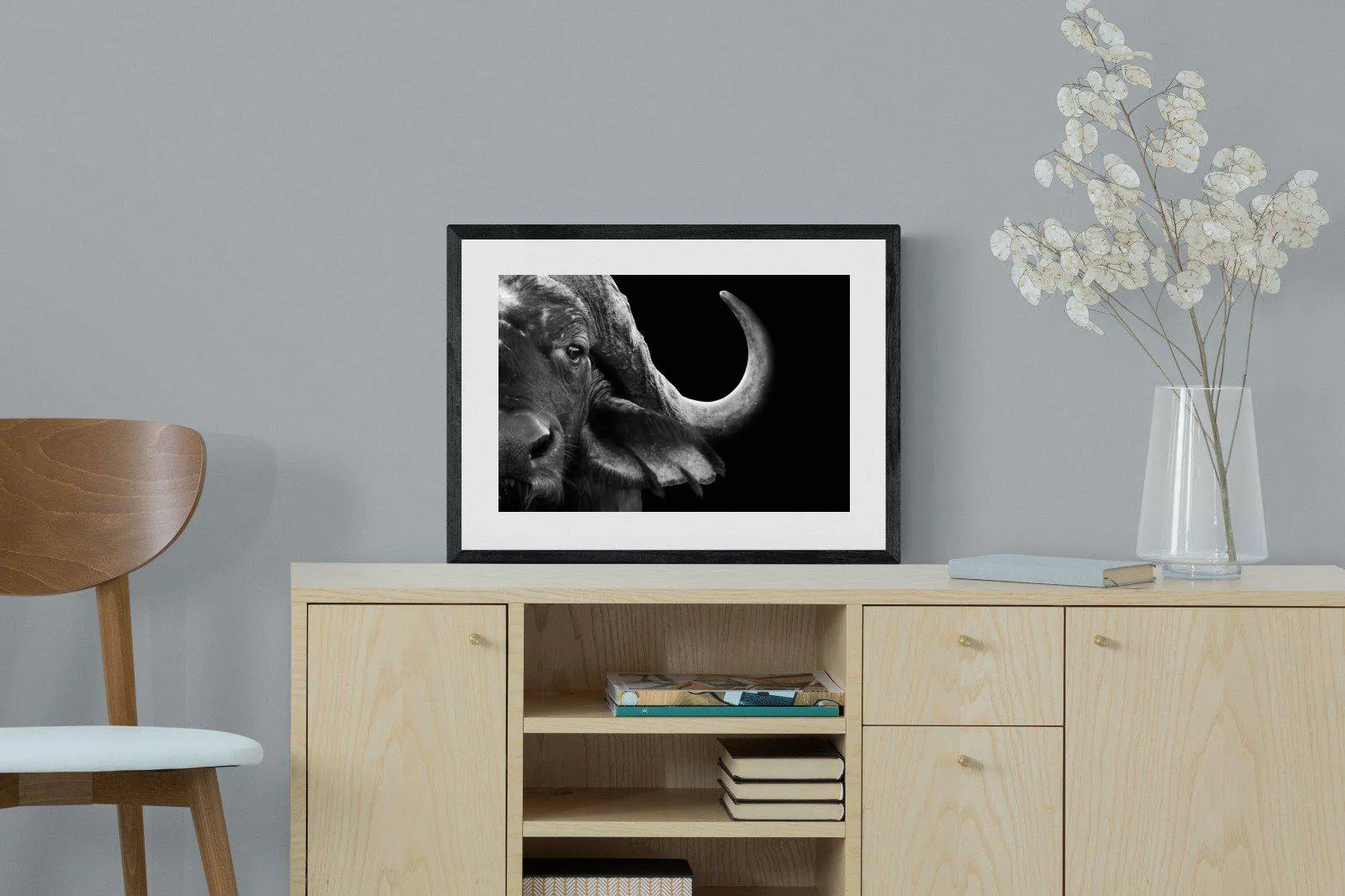 Water Buffalo