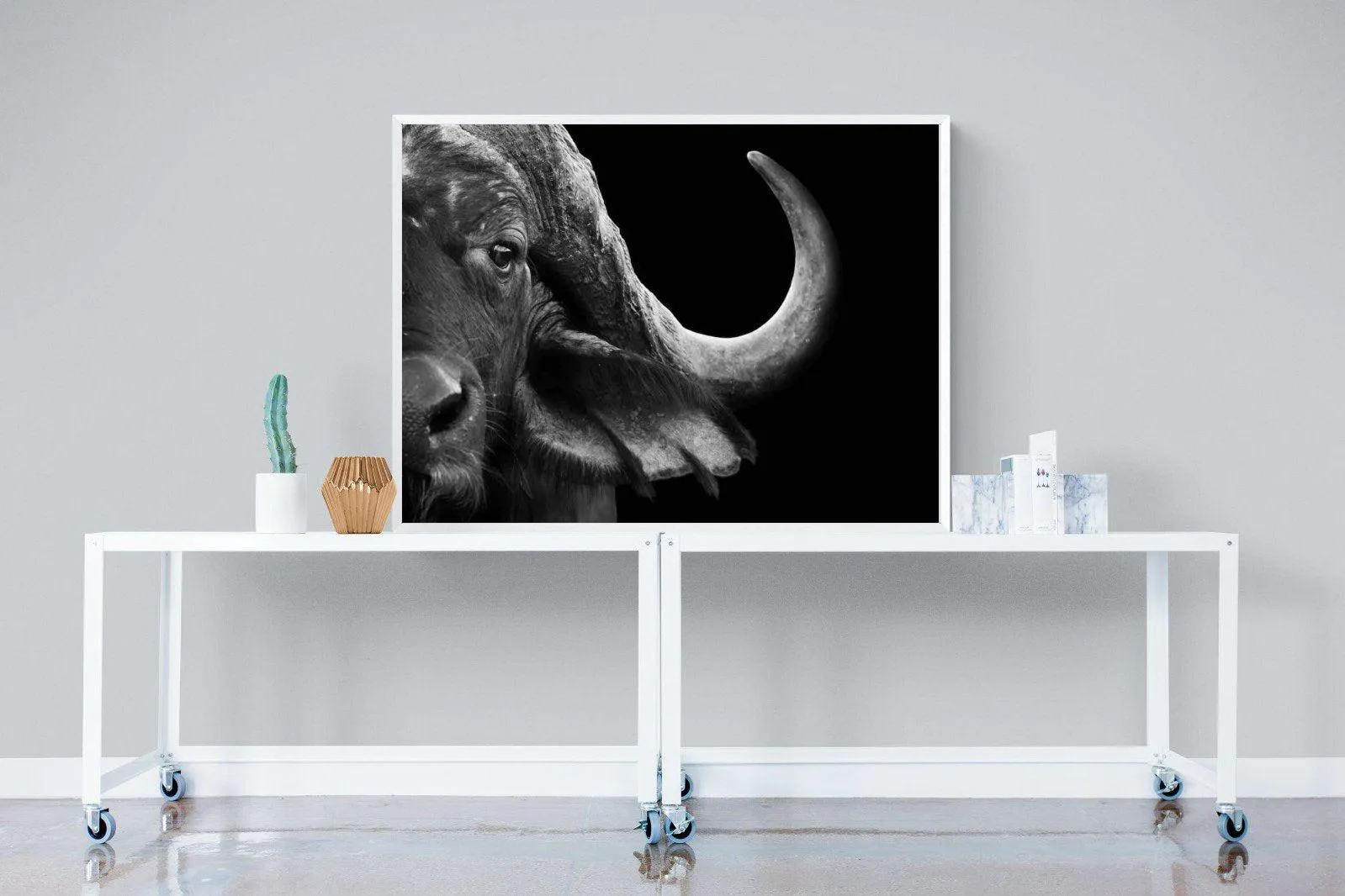 Water Buffalo