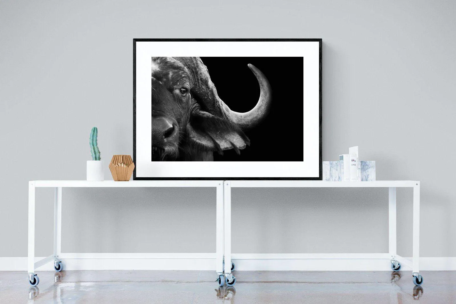 Water Buffalo