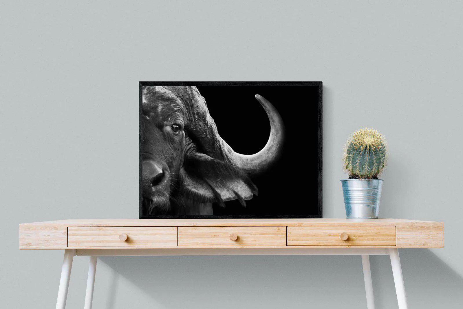 Water Buffalo
