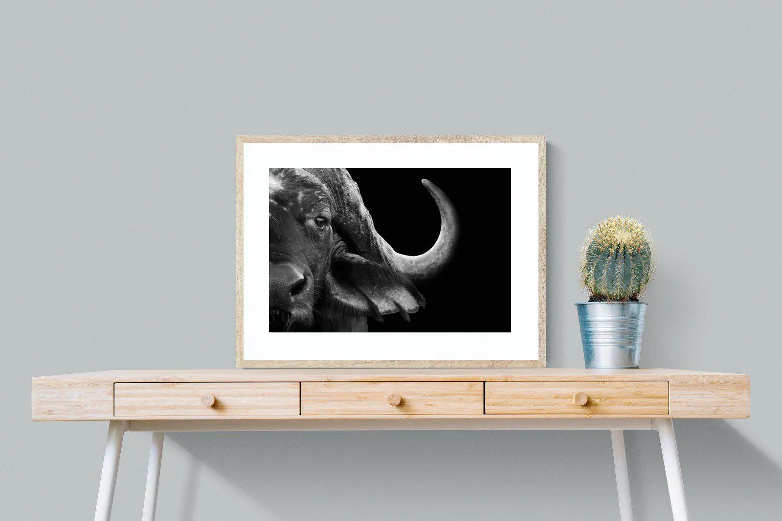 Water Buffalo